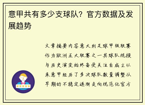 意甲共有多少支球队？官方数据及发展趋势
