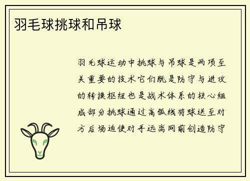 羽毛球挑球和吊球